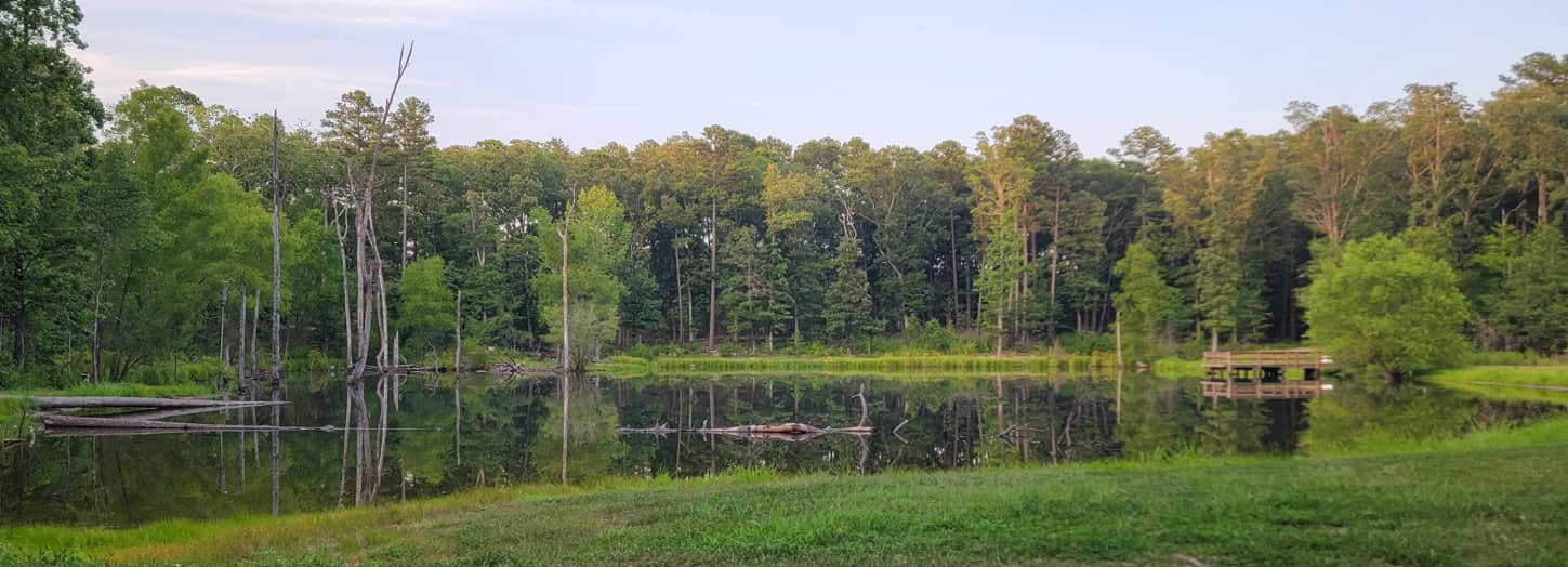 Pond with dock next to it. Spring day with lots of green grass.